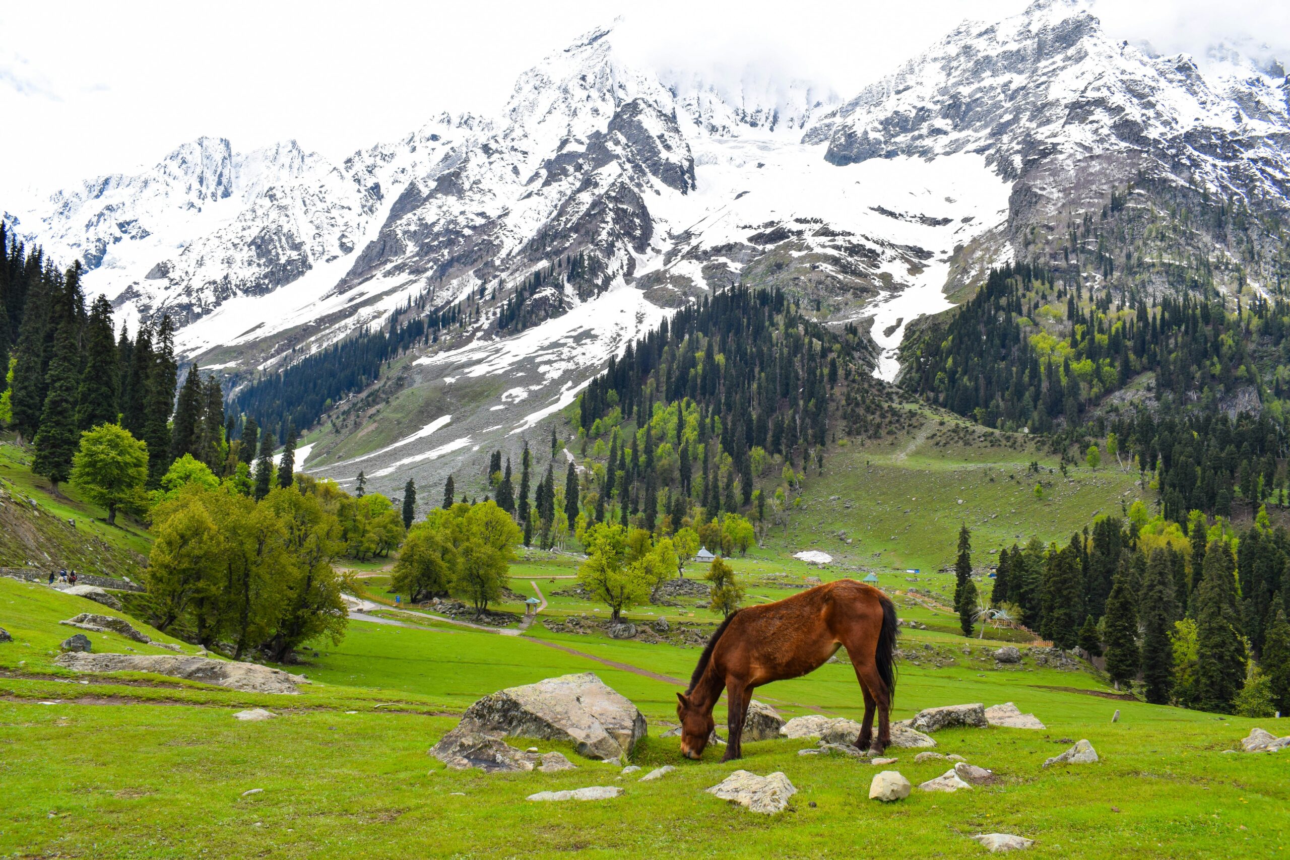 praneet-kumar-H8dcf-v98mA-unsplash